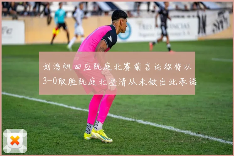 刘浩帆回应阮庭北赛前言论称将以3-0取胜阮庭北澄清从未做出此承诺