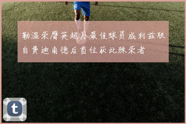 勒温荣膺英超月最佳球员成利兹联自费迪南德后首位获此殊荣者